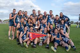 Image result for Henley Netball Club