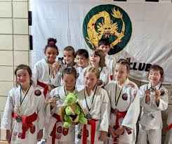 Image result for Hollesley Judo Club, Woodbridge, Suffolk