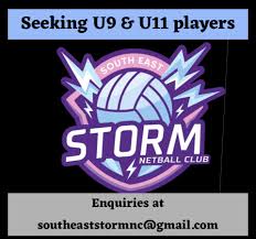 Image result for Storm Junior Netball Club