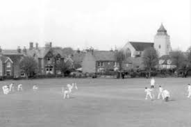 Image result for Old Alresford Cricket Club