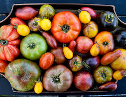 Afbeeldingsresultaat voor earl faux tomato