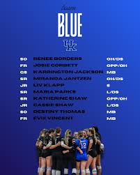 Image result for British Airways Volleyball Club