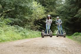 Image result for Go Ape! Whinlatter