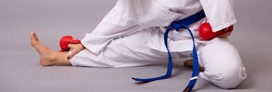 Image result for Bodyfit Martial Arts