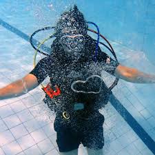 Image result for TAL Divers