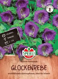 Image result for Glockenrebe