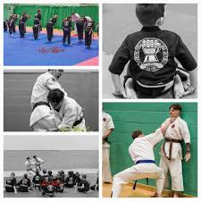Image result for Norfolk Jikishin Ju Jitsu Club