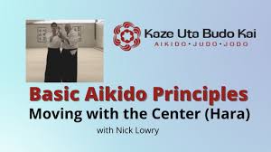 Image result for Aikido - Takama Hara Aikido Dojo