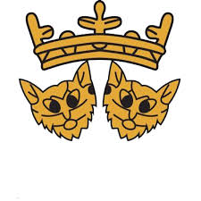 Image result for Solihull Cc