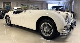 Image result for Old English White 1955 Jaguar