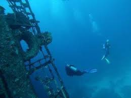 Image result for St. Albans Snorkelling Club (SASC)