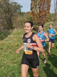 Image result for Wee County Harriers