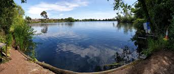 Image result for Kingston and Elmbridge Snorkellers