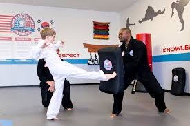 Image result for Professional  Martial Arts Academy