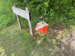 Image result for Dartford Orienteers (DFOK)