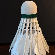 Image result for Carlton Badminton Club