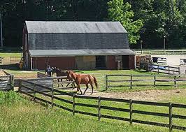 Image result for Annandale Equestrian Centre