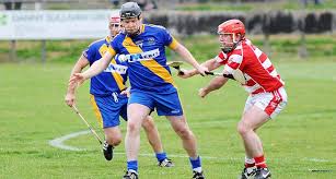 Image result for Sean Treacy`s Hurling Club
