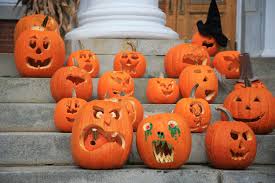 Image result for Kürbis