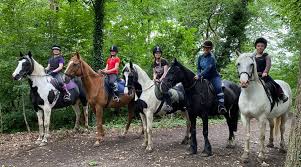 Image result for Thames Valley Riding Club