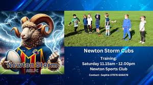 Image result for Newton - Le - Willows A R L F C