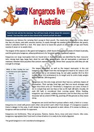 Image result for Reading Kangaroos