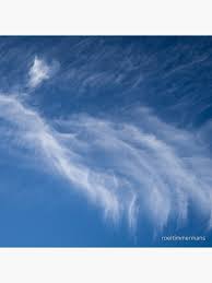 Attēlu rezultāti vaicājumam “Cirrus fibratus”