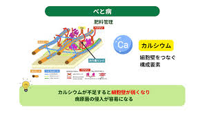 Image result for 生理現象ラキ