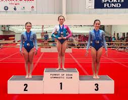 Image result for Forest Of Dean Gymnastics Club