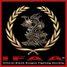 Image result for Dragon Martial Arts Association