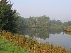 Image result for Yare Boat Club