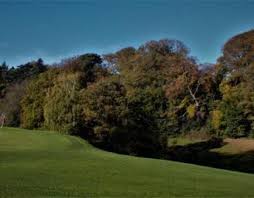 Image result for Flint Golf Club