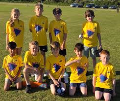 Image result for Haverfordwest Cricket Club