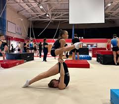 Image result for Harnham Gymnastics Club
