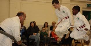 Image result for Thatcham Wado Karate Club