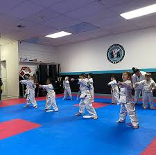Image result for Everitt Karate Academy