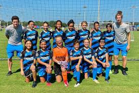 Image result for Capel Football Club