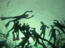 Image result for Eltham and District Sub Aqua Club