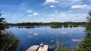 Image result for Apneists UK