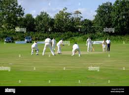 Image result for Findon Cricket Club