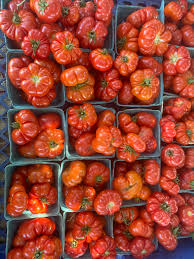 Afbeeldingsresultaat voor costoluto genovese tomato