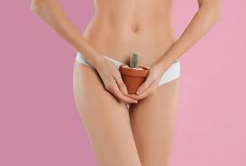 Image result for schamhaar