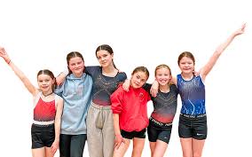 Image result for North Devon Display Gymnastics Club