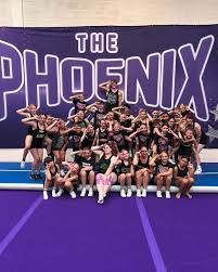 Image result for Phoenix Stars Cheerleaders