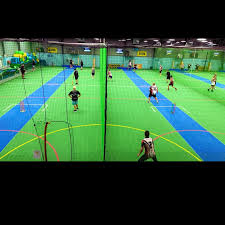 Image result for Sports Centre Netball