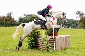 Image result for Chiddingfold Branch Of The Pony Club