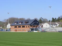 Image result for Sarsfields Hurling Club