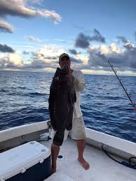 Image result for Hyporthodus quernus