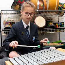 Image result for Warrior Academy - The Abbey C Of E Primary School