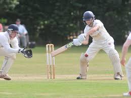 Image result for Lewdown Cricket Club
